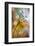 1610_Dill-Heidi Westum-Framed Photographic Print