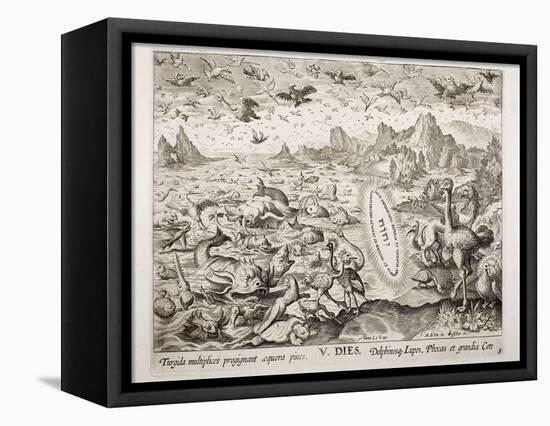 1674 Animal Creation According To Genesis-Stewart Stewart-Framed Premier Image Canvas