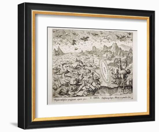 1674 Animal Creation According To Genesis-Stewart Stewart-Framed Photographic Print