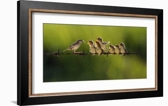 16-Iwan Tirtha-Framed Giclee Print