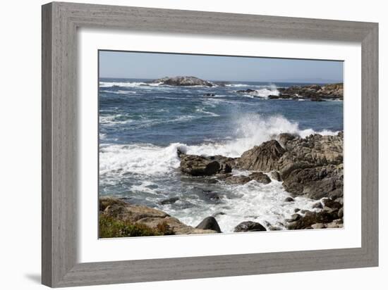 17-Mile Drive, Scenic Road Through Monterey, California-Carol Highsmith-Framed Photo