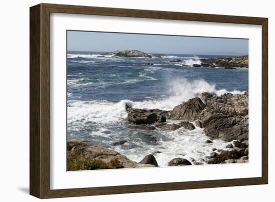 17-Mile Drive, Scenic Road Through Monterey, California-Carol Highsmith-Framed Photo