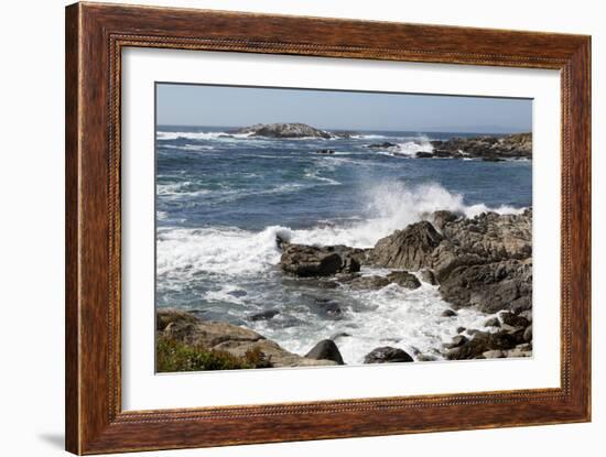 17-Mile Drive, Scenic Road Through Monterey, California-Carol Highsmith-Framed Photo