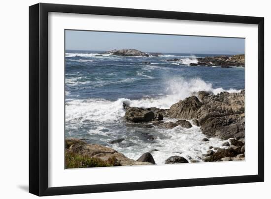 17-Mile Drive, Scenic Road Through Monterey, California-Carol Highsmith-Framed Photo