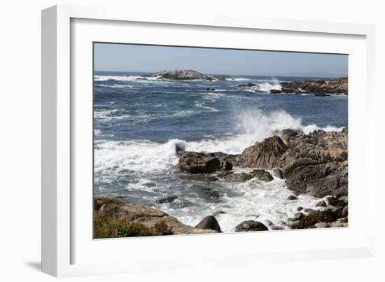 17-Mile Drive, Scenic Road Through Monterey, California-Carol Highsmith-Framed Photo