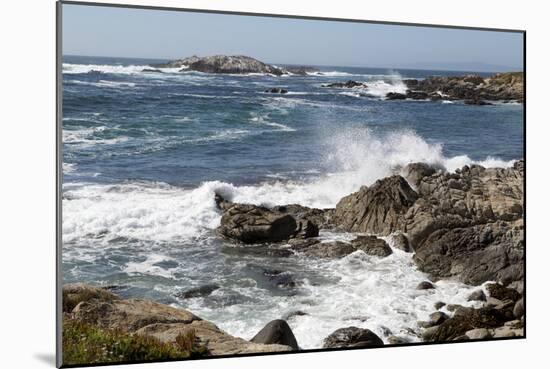 17-Mile Drive, Scenic Road Through Monterey, California-Carol Highsmith-Mounted Photo