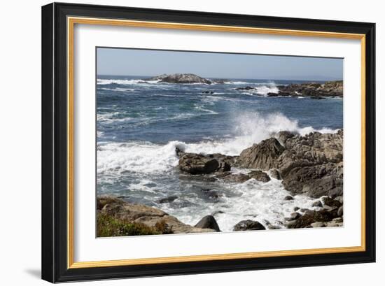 17-Mile Drive, Scenic Road Through Monterey, California-Carol Highsmith-Framed Photo