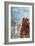 1778/1943-null-Framed Art Print