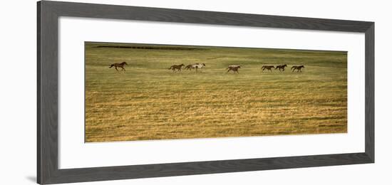 178-Dan Ballard-Framed Photographic Print