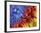 17G-Pierre Henri Matisse-Framed Giclee Print