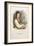 1806 Alexander Humboldt Naturalist-Paul Stewart-Framed Photographic Print