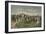 1807 - Friedland', (1896)-Unknown-Framed Giclee Print