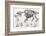 1812 Hippopotamus Skeleton by Cuvier-Stewart Stewart-Framed Photographic Print