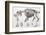 1812 Hippopotamus Skeleton by Cuvier-Stewart Stewart-Framed Photographic Print