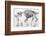 1812 Hippopotamus Skeleton by Cuvier-Stewart Stewart-Framed Photographic Print