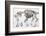 1812 Hippopotamus Skeleton by Cuvier-Stewart Stewart-Framed Photographic Print