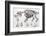 1812 Hippopotamus Skeleton by Cuvier-Stewart Stewart-Framed Photographic Print