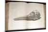 1814 Mary Anning First Ichthyosaur Skull-Paul Stewart-Mounted Photographic Print