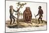 1824 Schinz Apes, Gibbon, Orang, Chimp-Paul Stewart-Mounted Photographic Print
