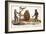 1824 Schinz Apes, Gibbon, Orang, Chimp-Paul Stewart-Framed Photographic Print