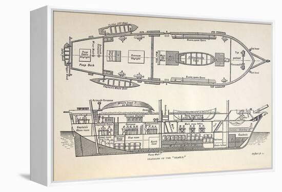 1832 Darwin's Ship HMS Beagle Plan-Paul Stewart-Framed Premier Image Canvas