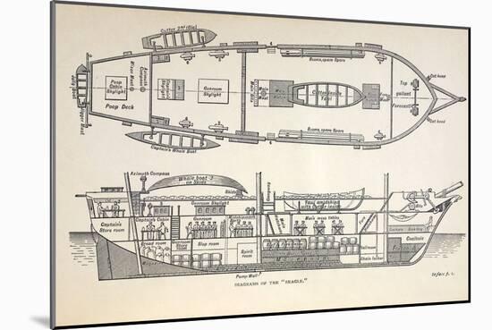 1832 Darwin's Ship HMS Beagle Plan-Paul Stewart-Mounted Photographic Print