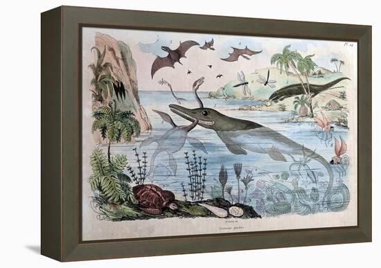 1834 Guerin Engraving 'Extinct Animals-Paul Stewart-Framed Premier Image Canvas