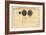 1835, Solar System - Magnitudes and Distance-null-Framed Giclee Print