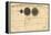 1835, Solar System - Magnitudes and Distance-null-Framed Premier Image Canvas
