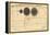 1835, Solar System - Magnitudes and Distance-null-Framed Premier Image Canvas