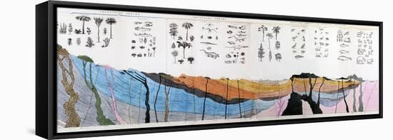 1836 Buckland Geology Cross-section-Paul Stewart-Framed Premier Image Canvas