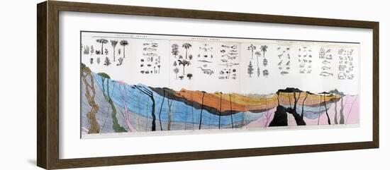 1836 Buckland Geology Cross-section-Paul Stewart-Framed Photographic Print