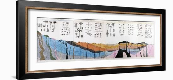 1836 Buckland Geology Cross-section-Paul Stewart-Framed Photographic Print