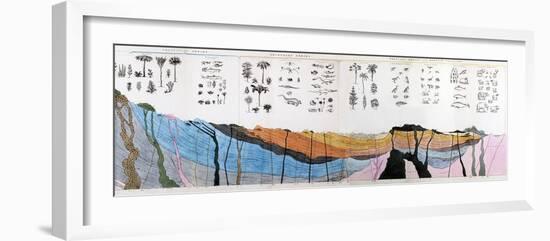 1836 Buckland Geology Cross-section-Paul Stewart-Framed Photographic Print