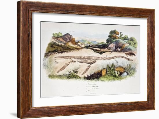 1838 Guerin Plesiosaur Reconstruction.-Paul Stewart-Framed Photographic Print