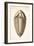 1846 Fine Victorian Trilobite Lithograph-Paul Stewart-Framed Photographic Print