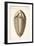 1846 Fine Victorian Trilobite Lithograph-Paul Stewart-Framed Photographic Print