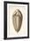 1846 Fine Victorian Trilobite Lithograph-Paul Stewart-Framed Photographic Print