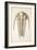1846 Victorian Trilobite Paradoxides-Paul Stewart-Framed Photographic Print