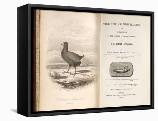 1851 Takahe Mantell's Petrifactions Book-Paul Stewart-Framed Premier Image Canvas