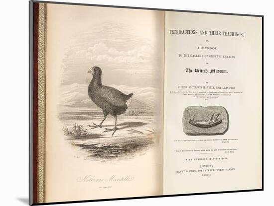 1851 Takahe Mantell's Petrifactions Book-Paul Stewart-Mounted Photographic Print