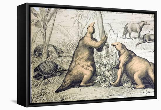 1862 Giant Ground Sloth Megatherium-Paul Stewart-Framed Premier Image Canvas