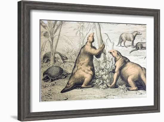 1862 Giant Ground Sloth Megatherium-Paul Stewart-Framed Photographic Print