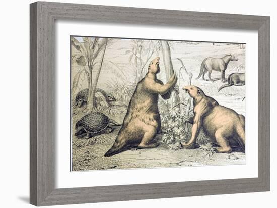 1862 Giant Ground Sloth Megatherium-Paul Stewart-Framed Photographic Print