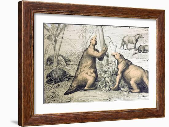 1862 Giant Ground Sloth Megatherium-Paul Stewart-Framed Photographic Print