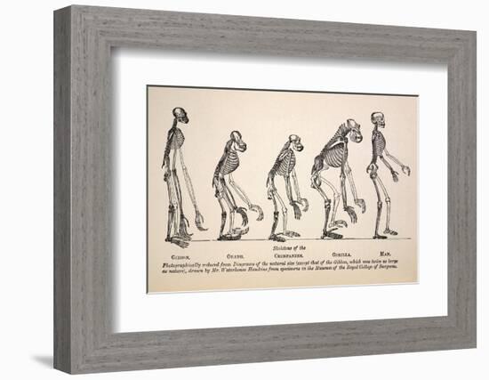 1863 Huxley From Ape To Man Evolution-Stewart Stewart-Framed Photographic Print