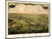 Giclee Print