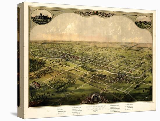 Stretched Canvas Print, , large