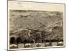 1868, Fort Wayne Bird's Eye View, Indiana, United States-null-Mounted Giclee Print