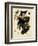 1868, Scotland-null-Framed Giclee Print